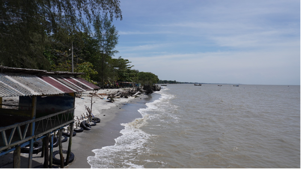 Hutan Mangrove Hilang, Masa Depan di Laut Melayang