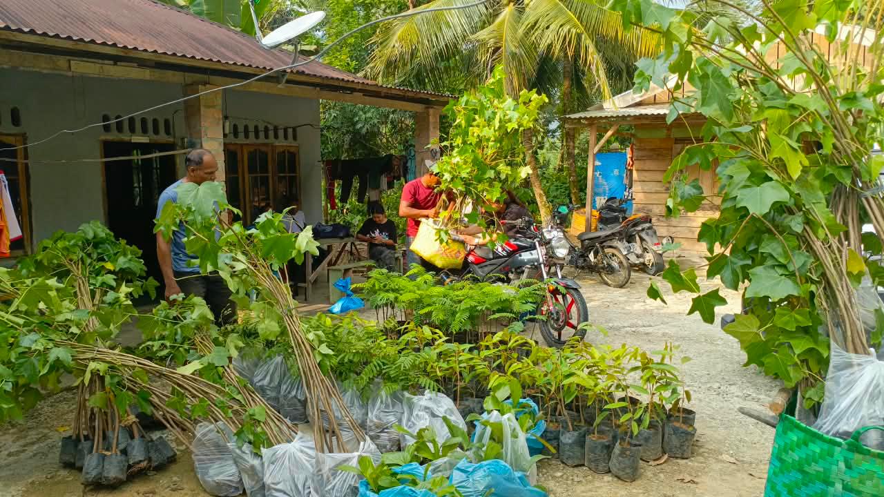 Dari Tanaman Sederhana, Akan Tumbuh Sebuah Harapan